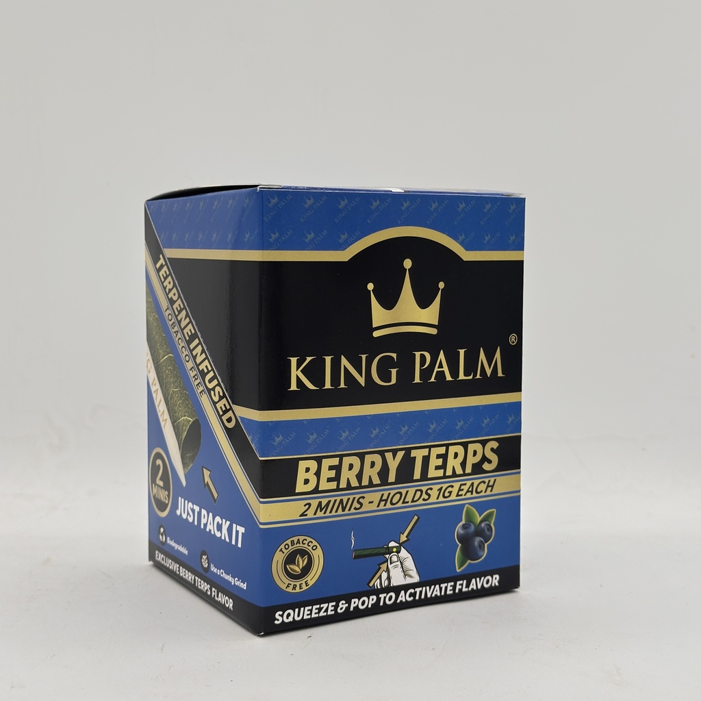 KP 2PK 1GM BERRY TRIP