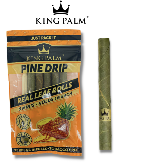 KP MINI 5PK PINE DRIP