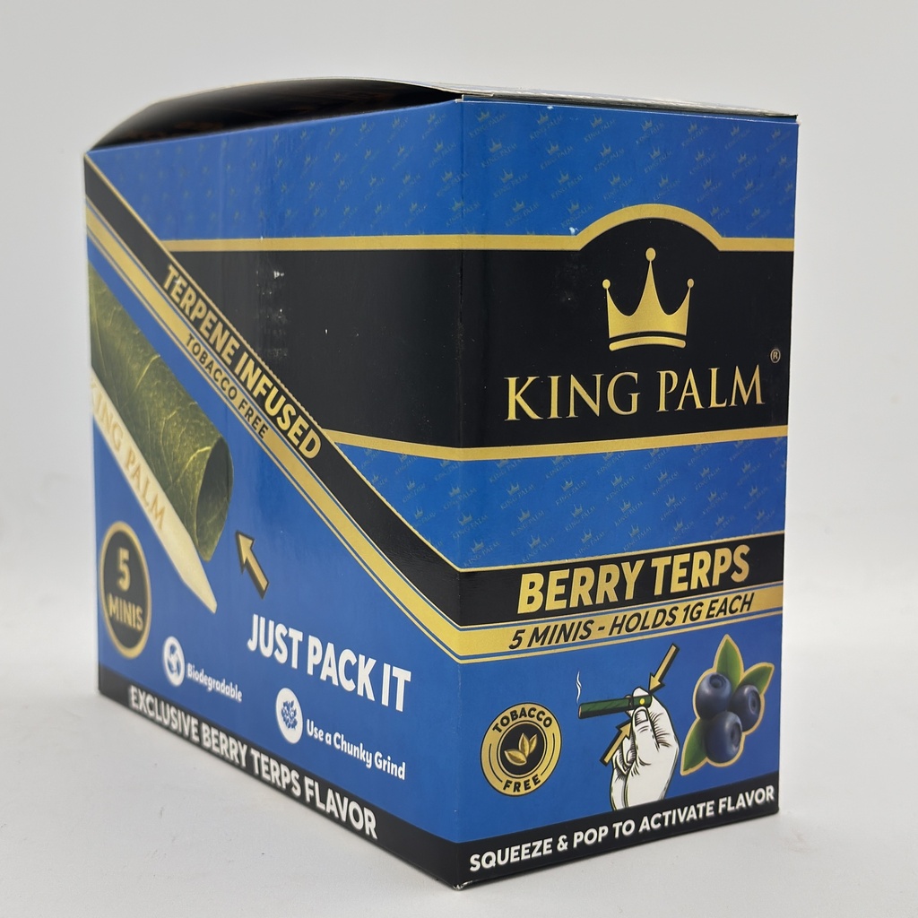 KP MINI 5PK BLUE BERRY
